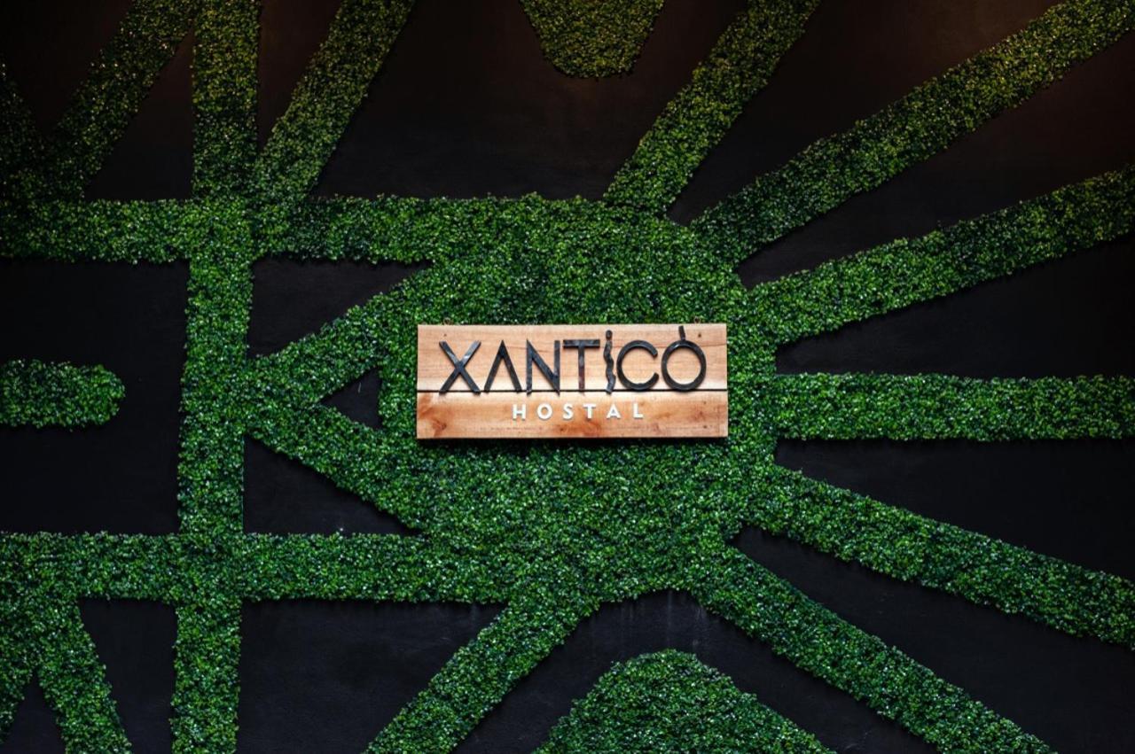 איפיאלס Xanticohostal מראה חיצוני תמונה